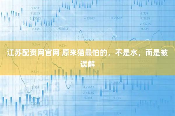 江苏配资网官网 原来猫最怕的，不是水，而是被误解