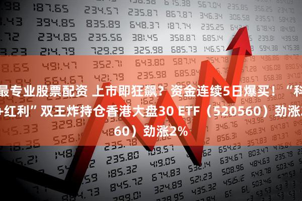 最专业股票配资 上市即狂飙？资金连续5日爆买！“科技+红利”双王炸持仓香港大盘30 ETF（520560）劲涨2%